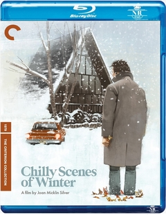 Chilly Scenes of Winter (1979) Blu-ray Legendado