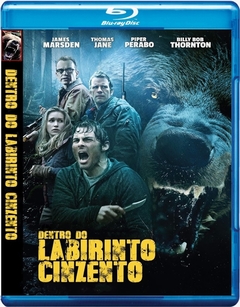 Dentro do Labirinto Cinzento (2015) Blu Ray Dublado Legendado