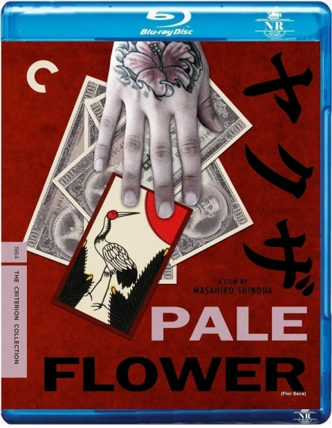 Flor Seca (1964) Blu-ray Legendado - comprar online