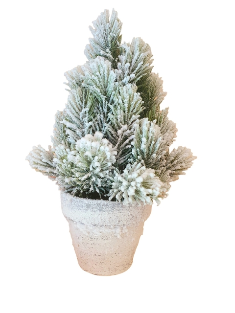 PINO NEVADO EN MACETA 20 CM