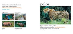 Pelos y más pelos - comprar online