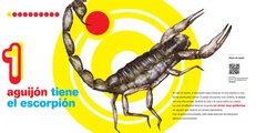 Bichos del 1 al 10 - comprar online