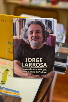 Esperando no se sabe qué. Sobre el oficio de profesor - comprar online