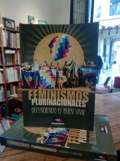 Feminismos plurinacionales. Defendiendo el buen vivir