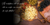 Imagem do banner rotativo Woood Made