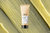 Kit Absolut Repair | Shampoo + Acondicionador + Máscara + Aceite | Serie Expert Loreal Professionnel en internet