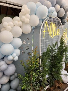 Deco fiesta del invierno, Frozen en internet