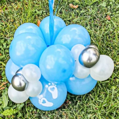 BUBBLE BIENVENIDO BAUTI en internet