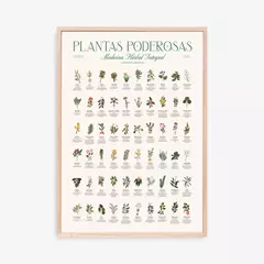 Lamina Plantas Poderosas