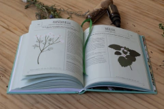 Plantas Poderosas - Divinuras