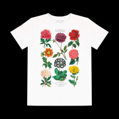 Remeron Unisex Chill