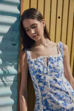 Vestido Zendaya en internet