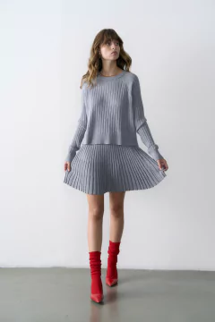Imagen de Pollera ileana