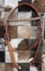 2368-42 - 741 Cabeçada Couro Pyramid Testeira E Afogador/Fivela Quadrada/Havana - comprar online