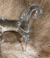 3752-1 -Cavalo Cavalinho Cristal Murano Cadoro Transparente Verde Agua na internet
