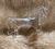 3752-5 -Cavalo Cavalinho Cristal Murano Cadoro Transparente - comprar online
