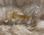 3752-9 -Cavalo Cavalinho Cristal Murano Cadoro Transparente Amarelo - comprar online