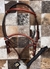 3675-8 - Cabresto Couro Cabeçada Havana - comprar online