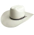 2331-1 - 65548 Chapéu Palha Marfim Shantung 20x Stetson