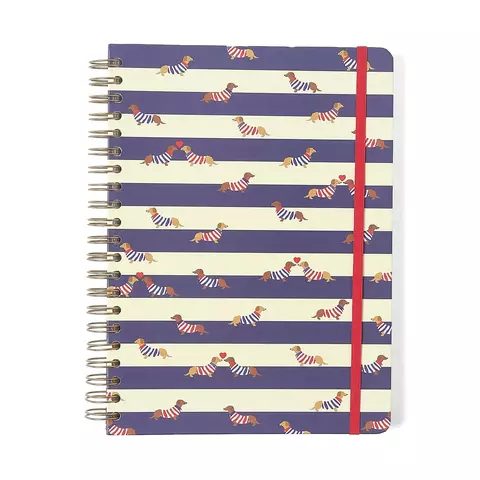 Caderno Espiral Praia Pautado 20x28 Cachorros 10 Matérias 160 fls - Cicero - comprar online