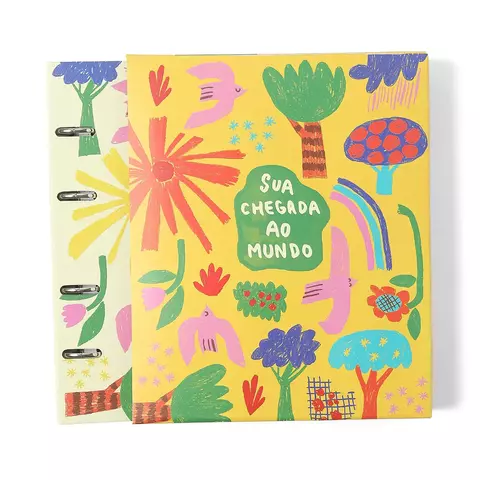 Livro Álbum Argoladodo Bebê 18x24 Cicero® & Fábula Alegrinha - Cicero - comprar online