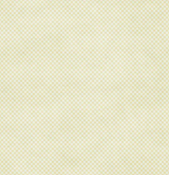 Papel de Scrapbook - Coleção JOY – Básico BEGE- Carina Sartor – BASE110 na internet