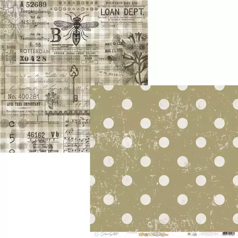 Papel de Scrapbook Básicas Fendi - Coleção Kingdom - Carina Sartor – BASE129