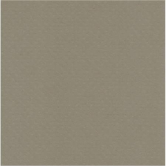 Folha Para Scrapbook Cardstock Bolinhas II - Toke e Cries - Cinza Claro - 20066