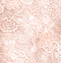 Papel de Scrapbook - Coleção GARDEN – Carina Sartor – GAR04 na internet