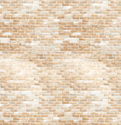 Coleção Meu Jardim - Folha 03 - My Memories - MMCMJM-03 na internet