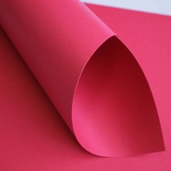 Folhas para Scrapbook - Color Plus 30,5 x 30,5 cm - 180 gr cada na internet