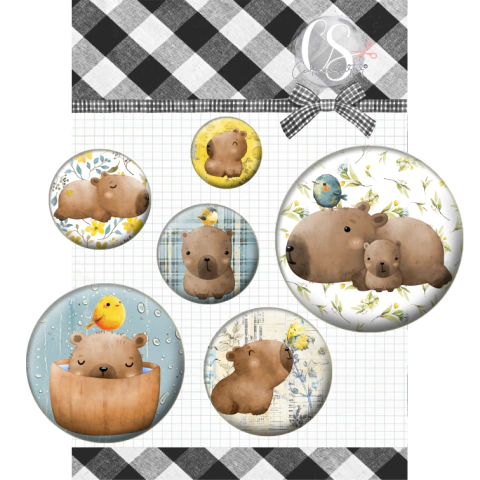 Bottons Capivara Coleção Piccoli - Imagens Picooli - 6 bottons - PIC12