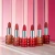 MATTE LIPSTICK en internet