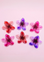 BROCHES FLOR HAWAIANA TRANSPARENCIA X6