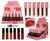 SHINY LIP GLOSS TEI B
