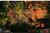 jogo Jagged Alliance Rage Xbox One original na internet
