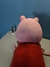 Boneca Pelúcia Peppa Pig Estrela - Campinas H627 - Tudo Games Retro
