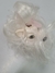 boneco fofi dogs estrela original