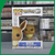 FUNKO POP! GAMES POKÉMON - EEVEE #577