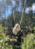 Amuleto Calma • Água Marinha - comprar online