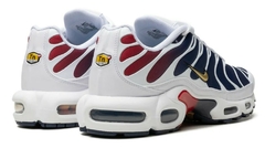 Air Max Tn Plus PSG en internet