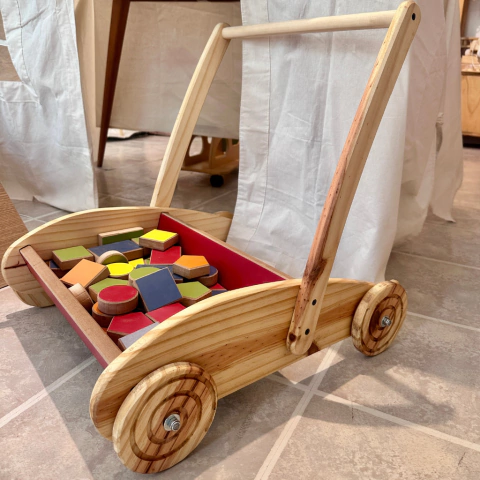 Carro caminador con bloques