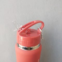 BOTELLA ACERO - Sport roja 750ml en internet