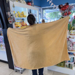PELUCHE CAPYBARA bufanda - con manta - tienda online