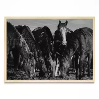 La Reunión, Fotografía, Adriana Regueiro - comprar online
