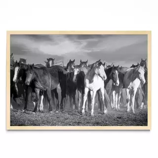 Entre Manadas, Fotografía, Adriana Regueiro - comprar online