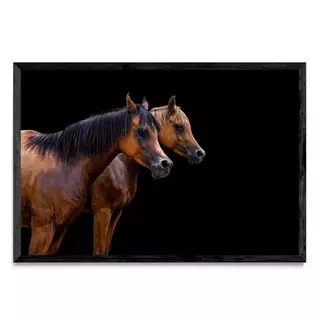 Refractario, Fotografía, Adriana Regueiro - comprar online