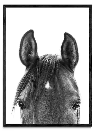 El Secreto, Fotografía, Adriana Regueiro - comprar online