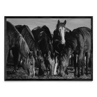 La Reunión, Fotografía, Adriana Regueiro - comprar online
