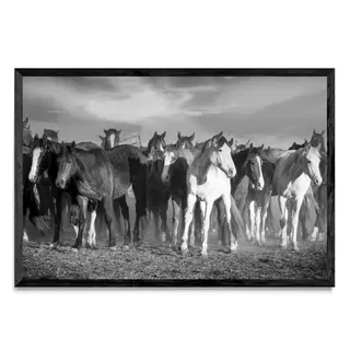 Entre Manadas, Fotografía, Adriana Regueiro - comprar online